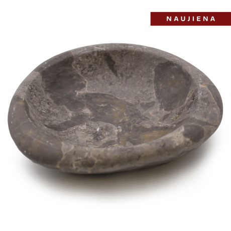 Suakmenėjusio medžio muilinė